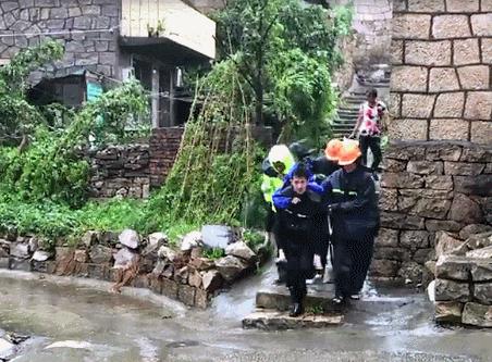 深圳台风最新消息今日更新，逆风中的奋斗与励志故事