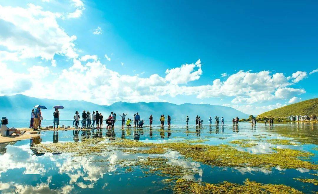 科创板最新动态，探索自然美景之旅，寻求内心平和与宁静的启程