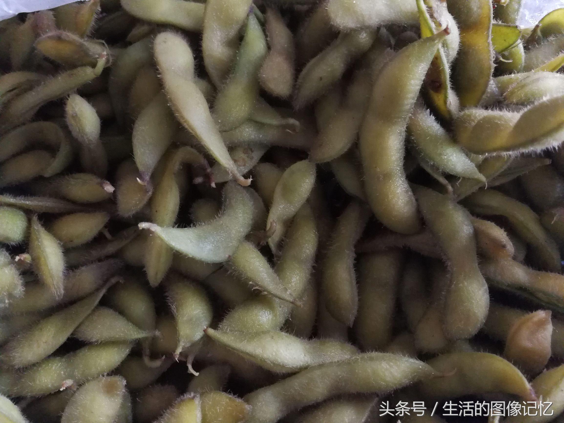 毛豆价格最新行情与探索自然美景之旅的双重体验