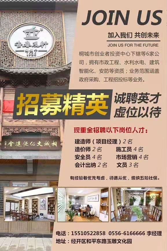 桐城最新招聘信息揭秘，小巷中的职业机遇等你来探索！