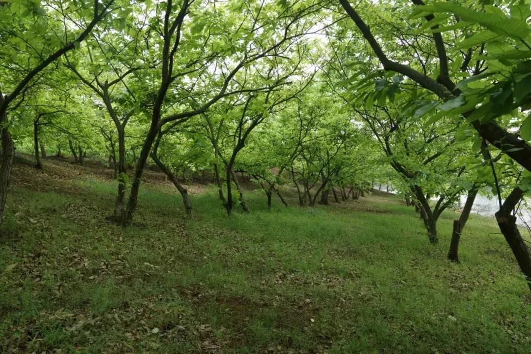 淮安大学最新科技产品介绍及最新消息速递
