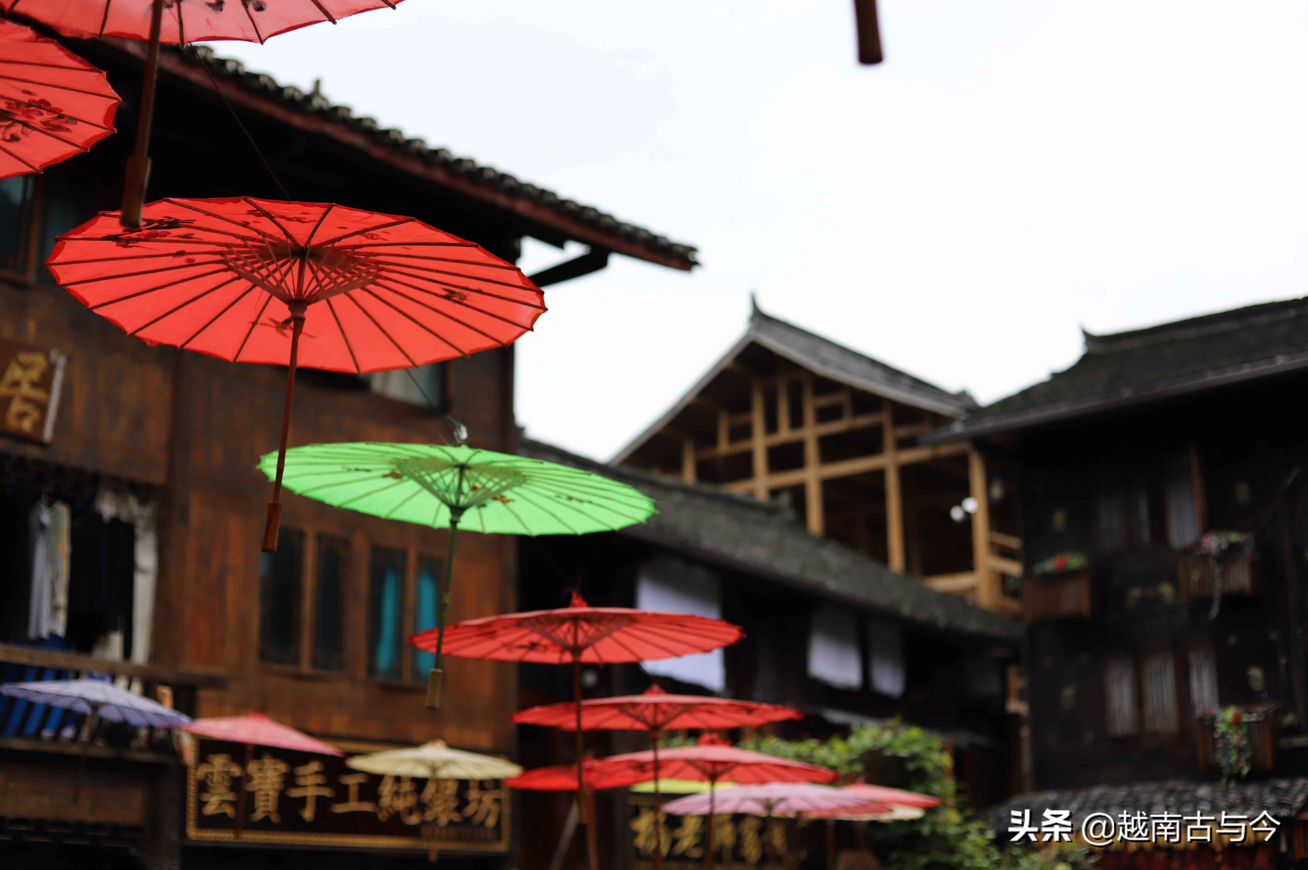 疫情下的奇迹，小巷特色小店探秘与最新疫情结果关注
