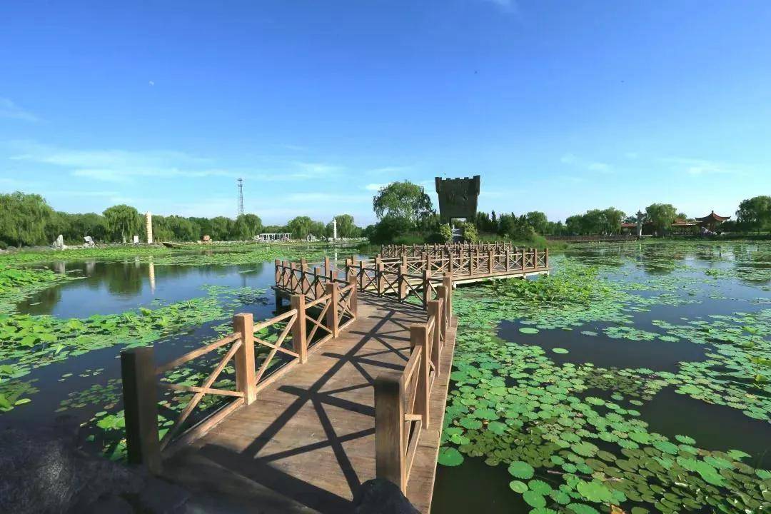 寿光到羊口直通车最新动态，启程自然美景的探索之旅