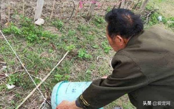 智能防护服拯救安全感，老鼠突袭与高科技防护体验分享