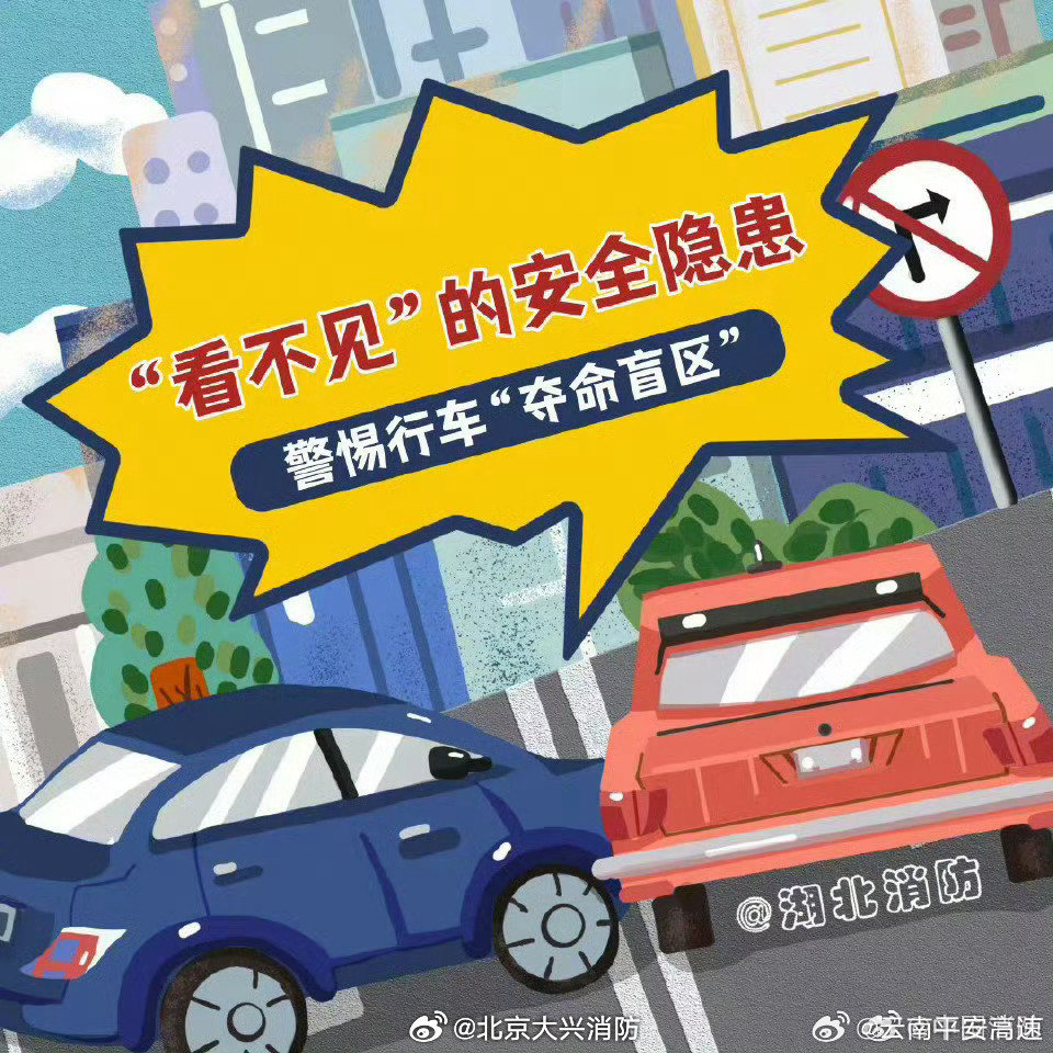 遭货车碾压男孩康复入学，自然探索与内心平静的追寻之旅