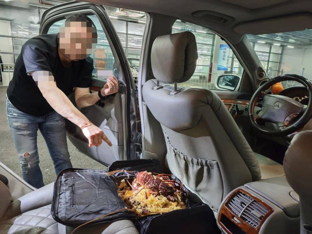 客车司机违规携带鲜活龙虾入境被查，步骤指南与后果警示
