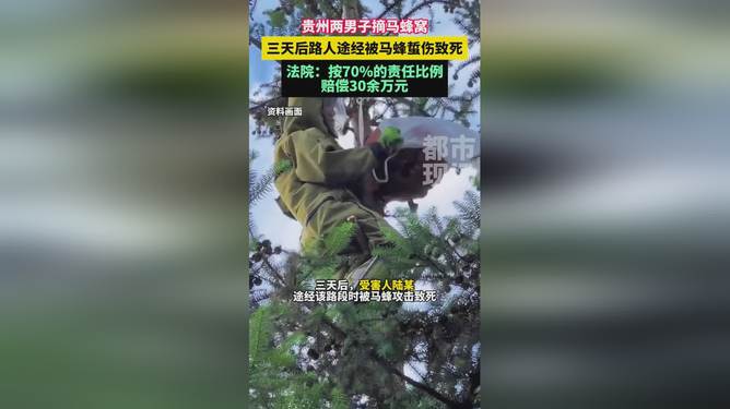 摘马蜂窝引发悲剧与意外冒险，爱与陪伴的力量背后的警示