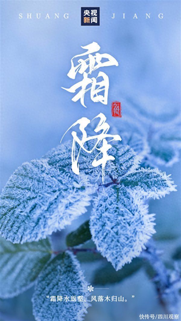 霜降时节，昼夜温差逾十度的影响与韵味探索