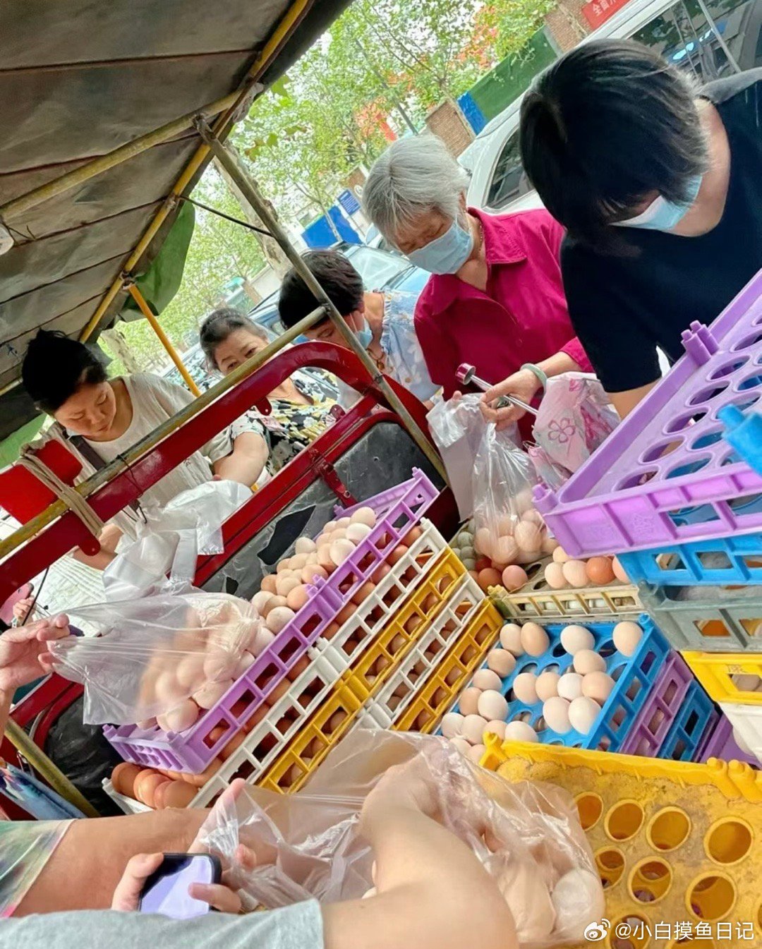揭秘老人扫码领免费鸡蛋遭遇的科技陷阱，免密支付背后的风险与体验解析