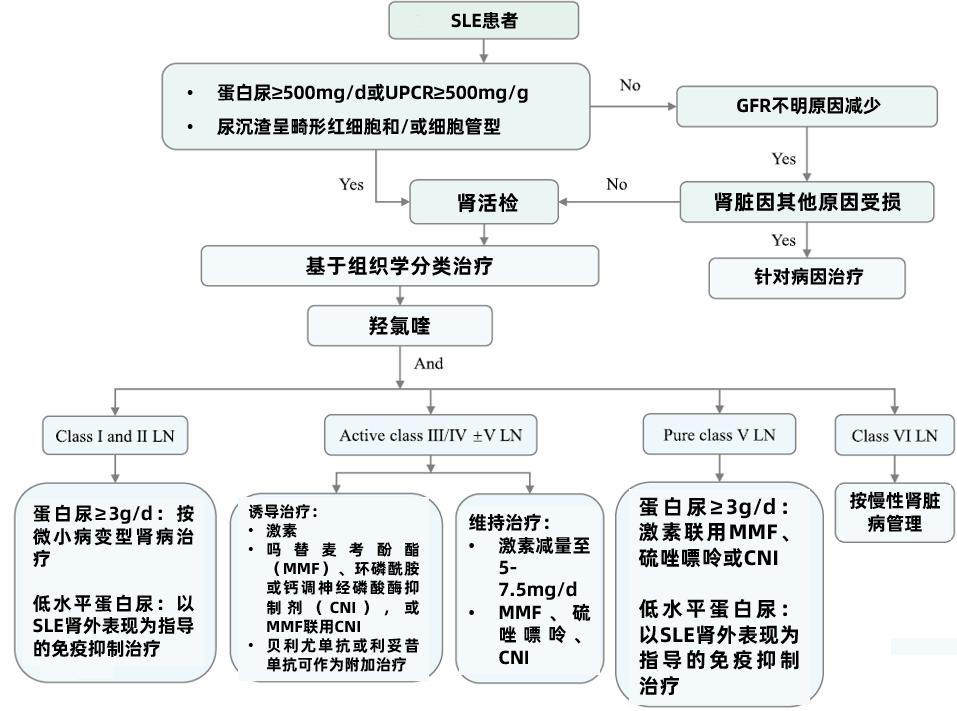 红斑狼疮每次复发都是重创