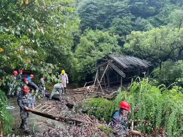 小学教学楼变危楼引发停课风波，教育局回应教育质量与安全挑战