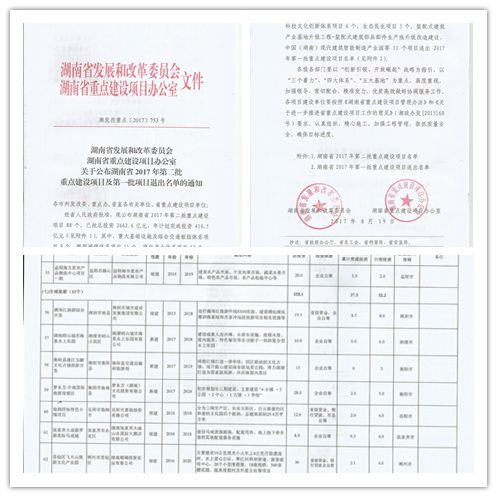新奥天天免费资料东方心经,实时解答解释定义_投入版89