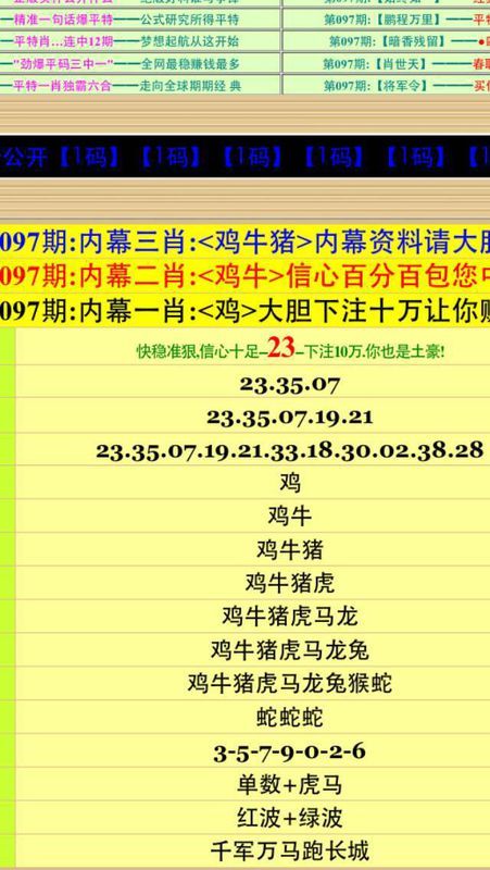 2024澳门特马今晚开奖53期,解释实施落实解答_Essential49.021