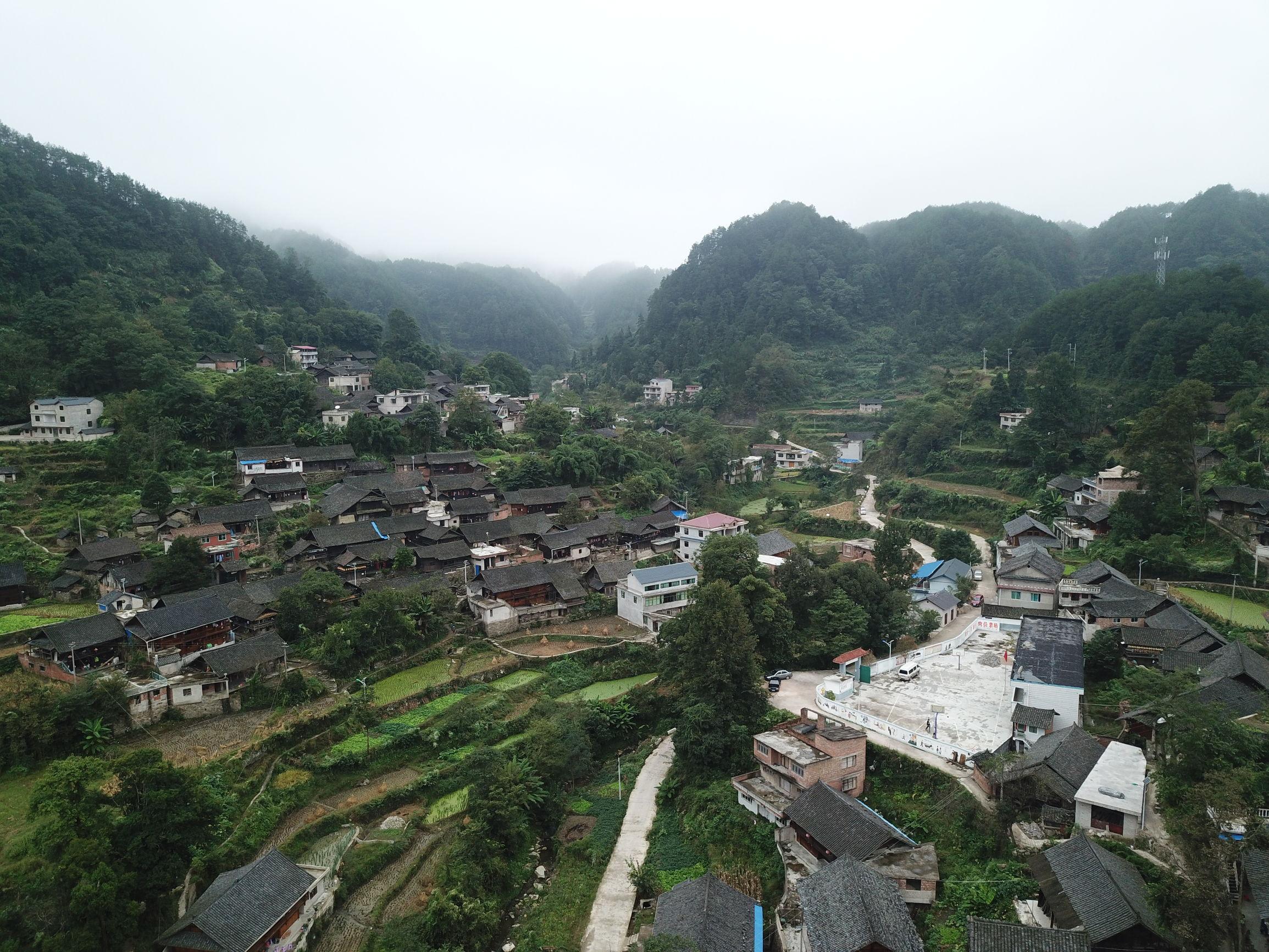 公众观点深度解析