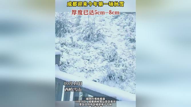 科技添彩