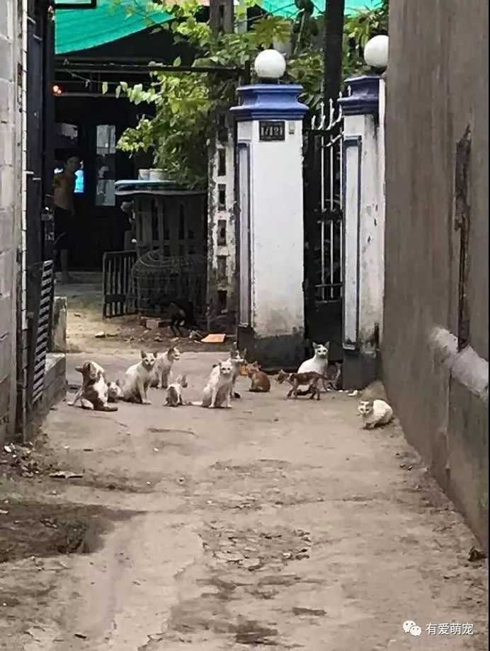 特色小巷特色小店探秘