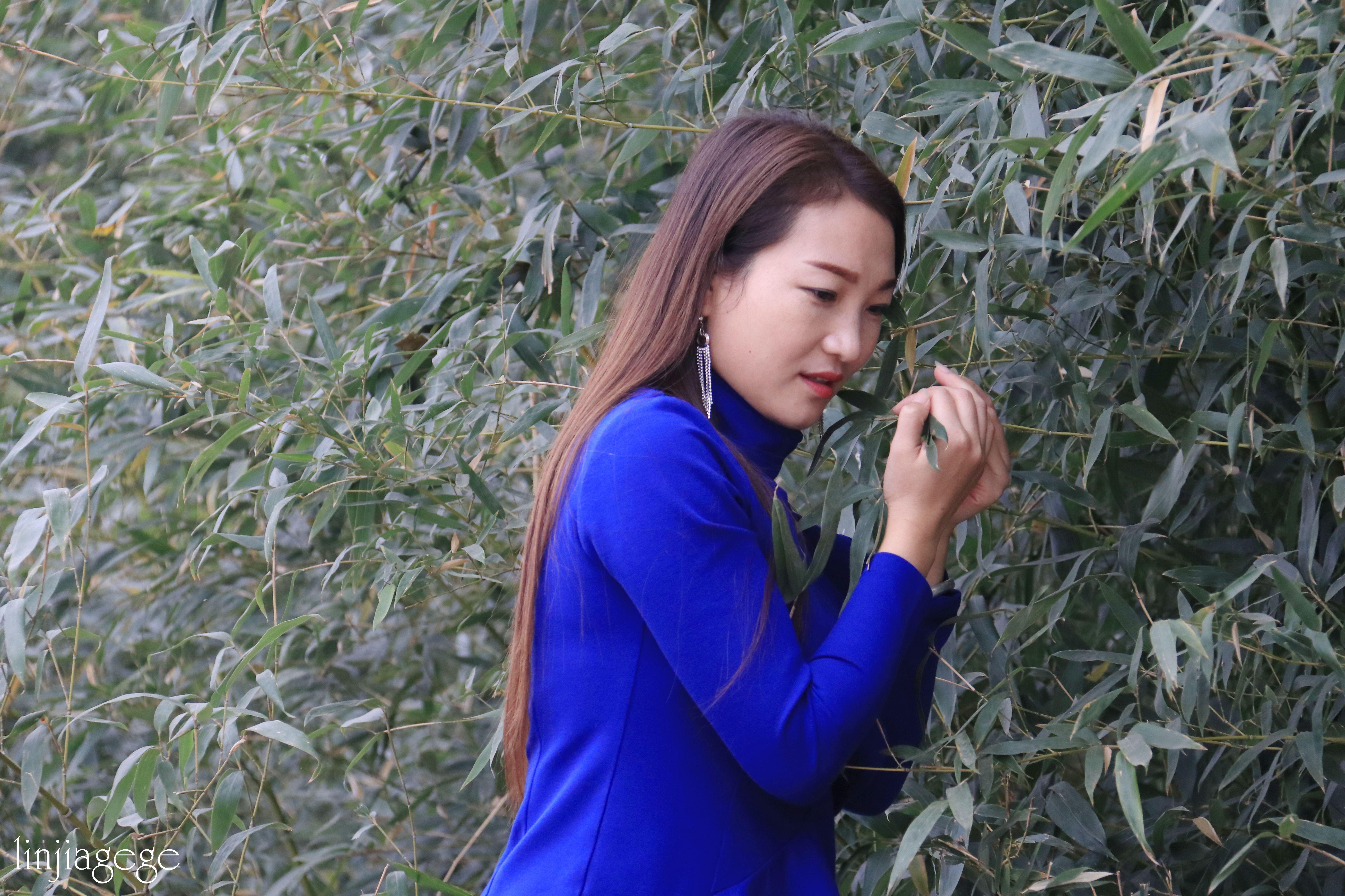 新征程（心灵与自然）