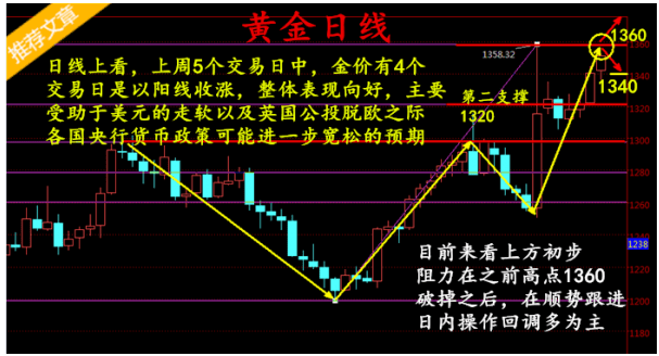 黄金秘境探寻之旅