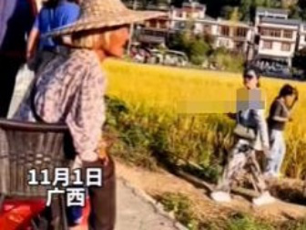 爱与陪伴的真谛