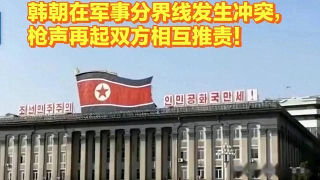 专家深度解析