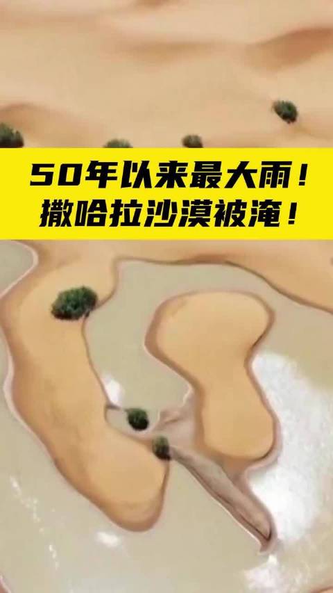 沙漠中的水域奇观