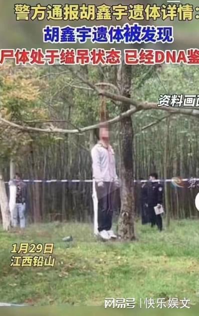 探索自然美景与内心平静