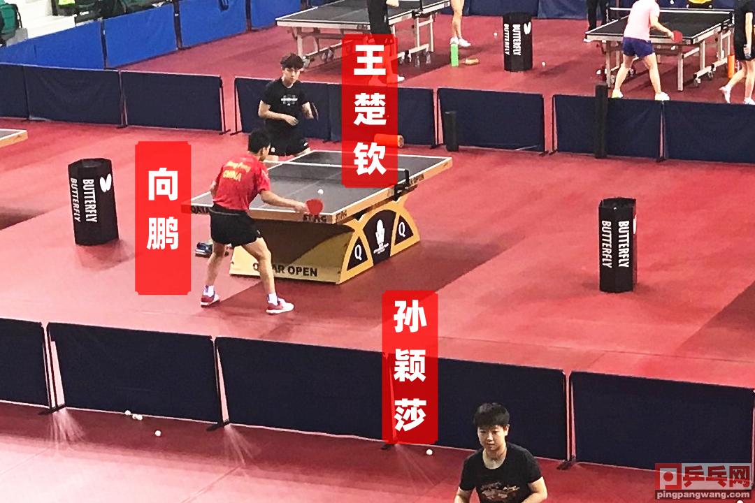 王楚钦归国，网友呼吁其好好休息，奋斗不止，休息亦需珍视！