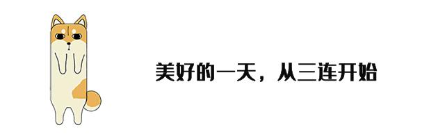 东部战区联合利剑-2024B演习任务指南详解，从入门到进阶的全面指南