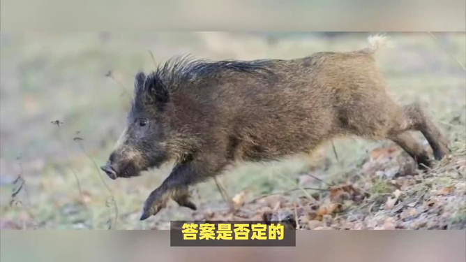 生态变迁挑战与机遇
