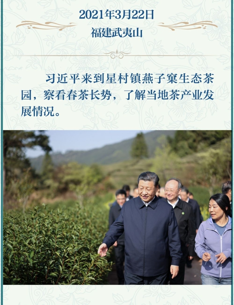 茶文化