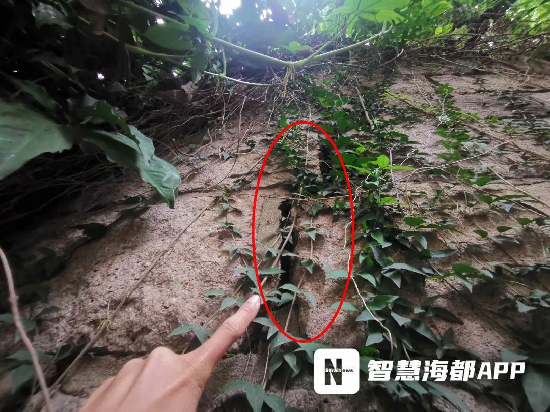福州地震最新消息，科技守护，安心生活今日更新