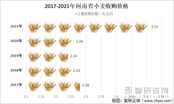 国际小麦价格最新动态与自然美景的旅行探索