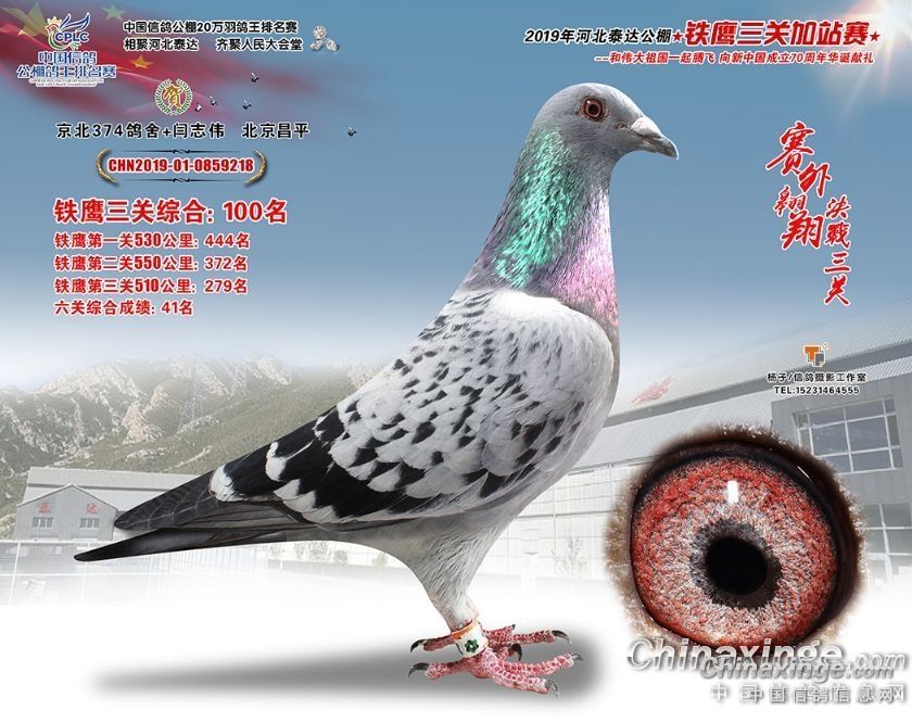 科技革新/重塑生活品质