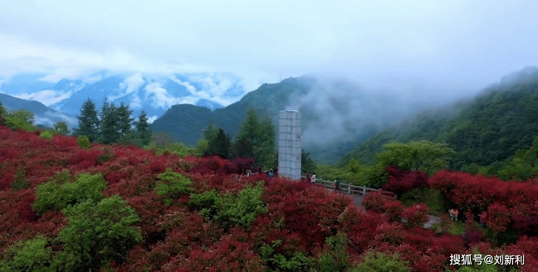 王子新材最新动态，自然美景探索之旅，心灵宁静之旅