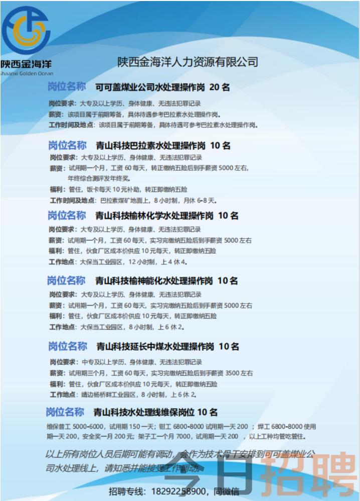 阎良招聘网最新招聘信息详解与观点阐述