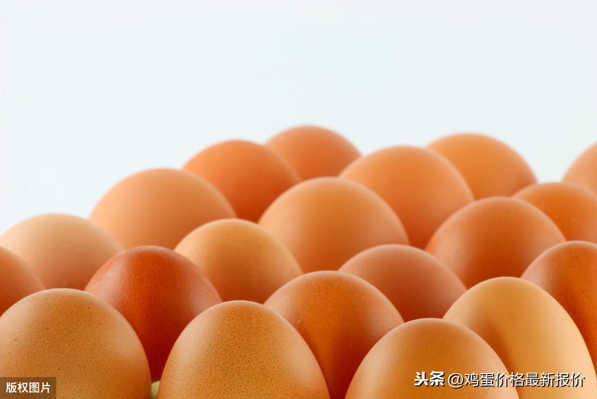北京鸡蛋价格最新动态
