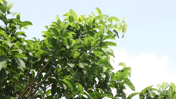探索自然美景 第13页
