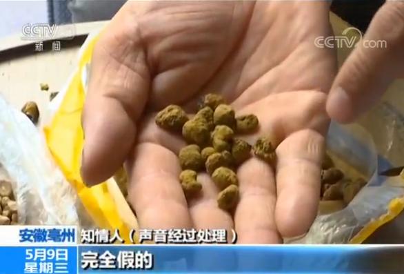 行情分析与论述