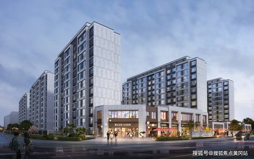 全面分析与动态探讨