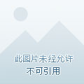 极品飞车