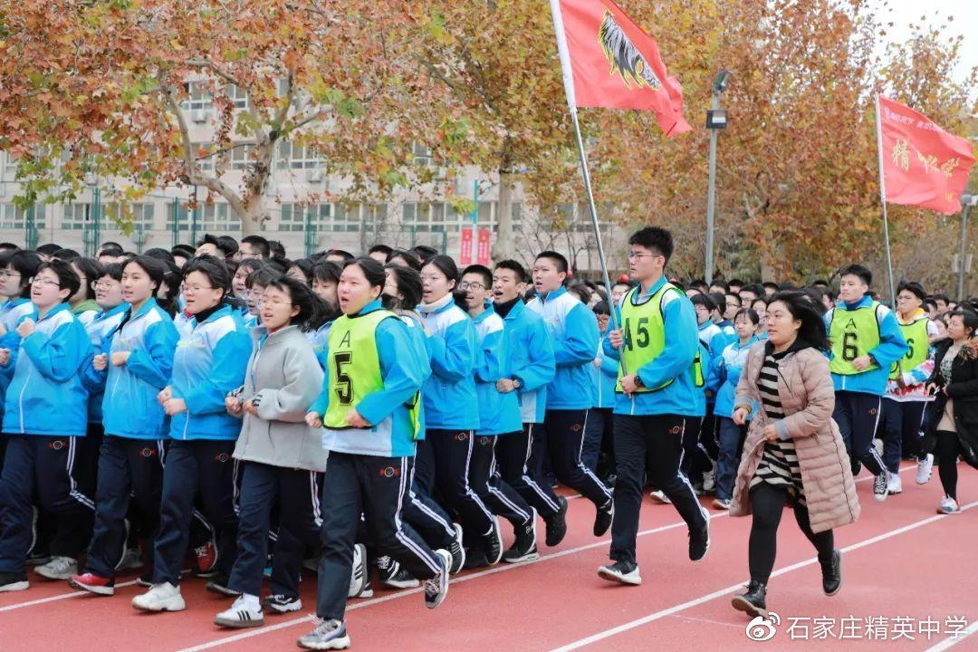 手机百度最新版，励志之旅，一部手机探索大千世界