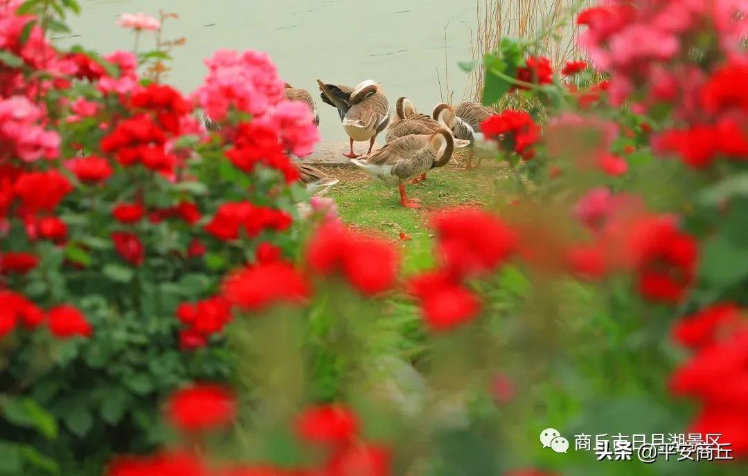 自然美景探索之旅 第20页