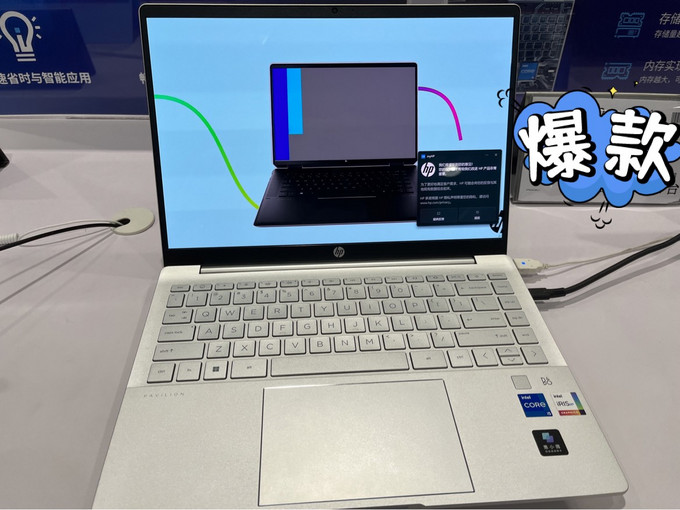 日常趣事与情感纽带连接的关键角色（或可简化为“情感纽带与日常趣事”）