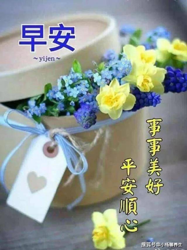 最新照片集萃