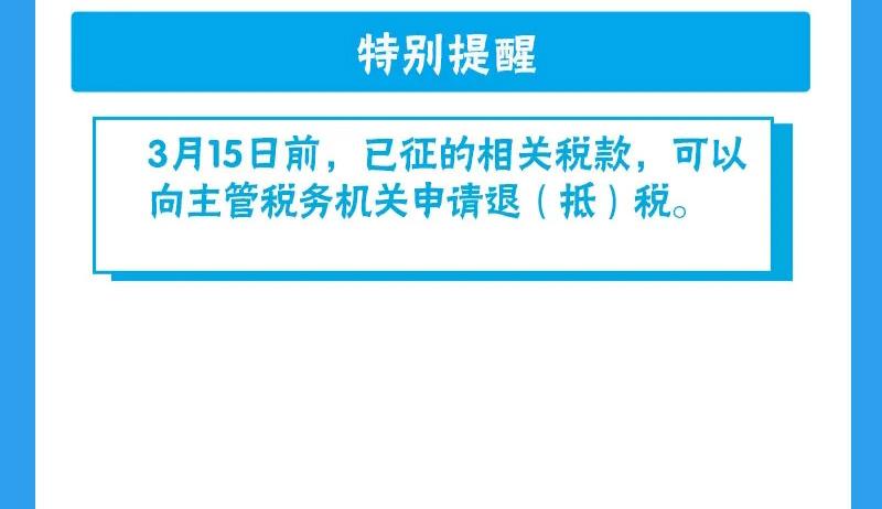 观点阐述全解析