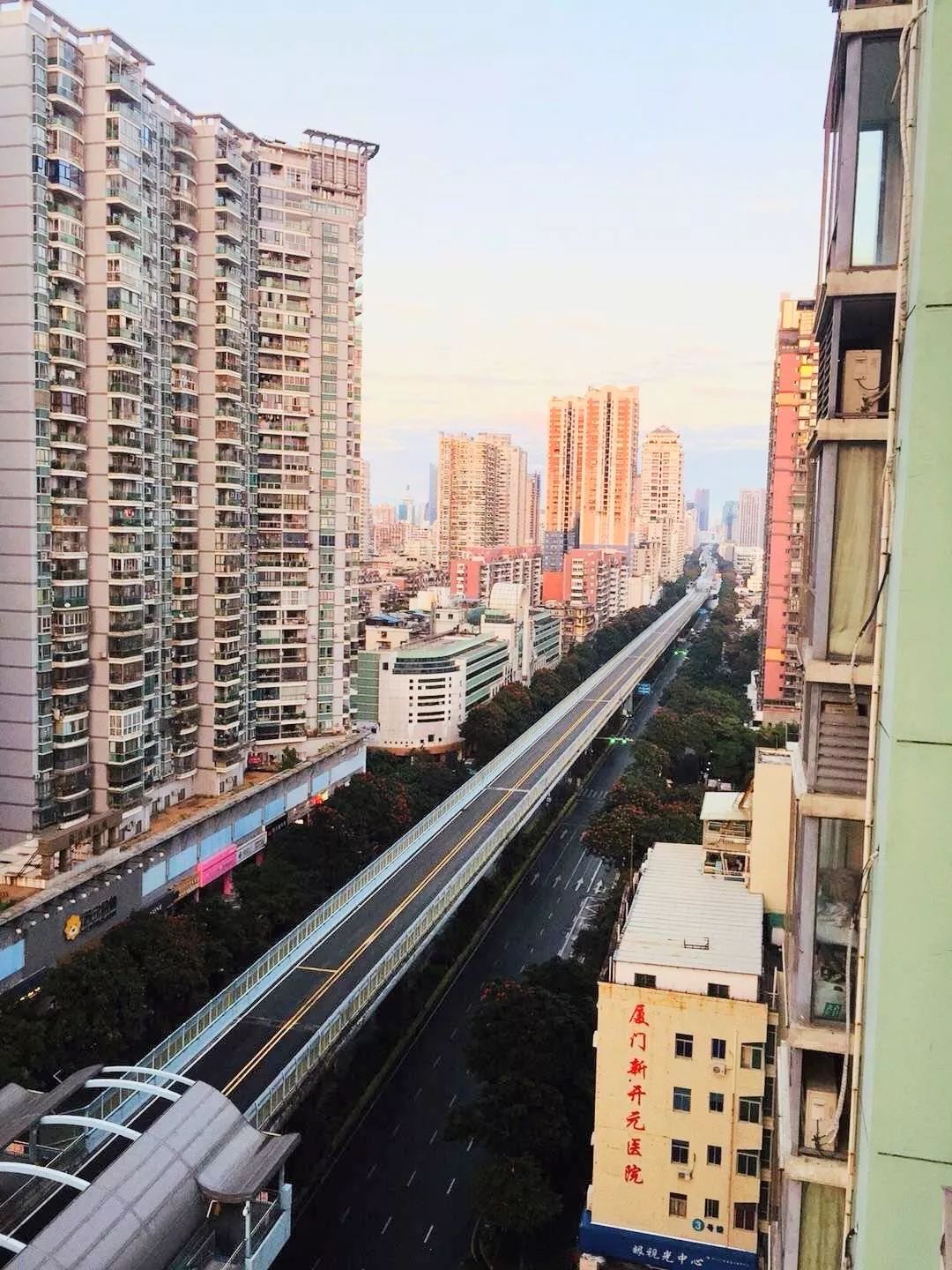 个人观察（或疫情观察）
