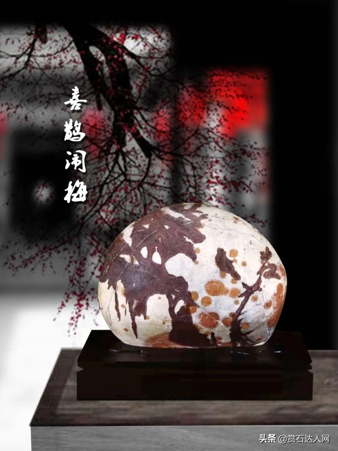 节奏大师最新版