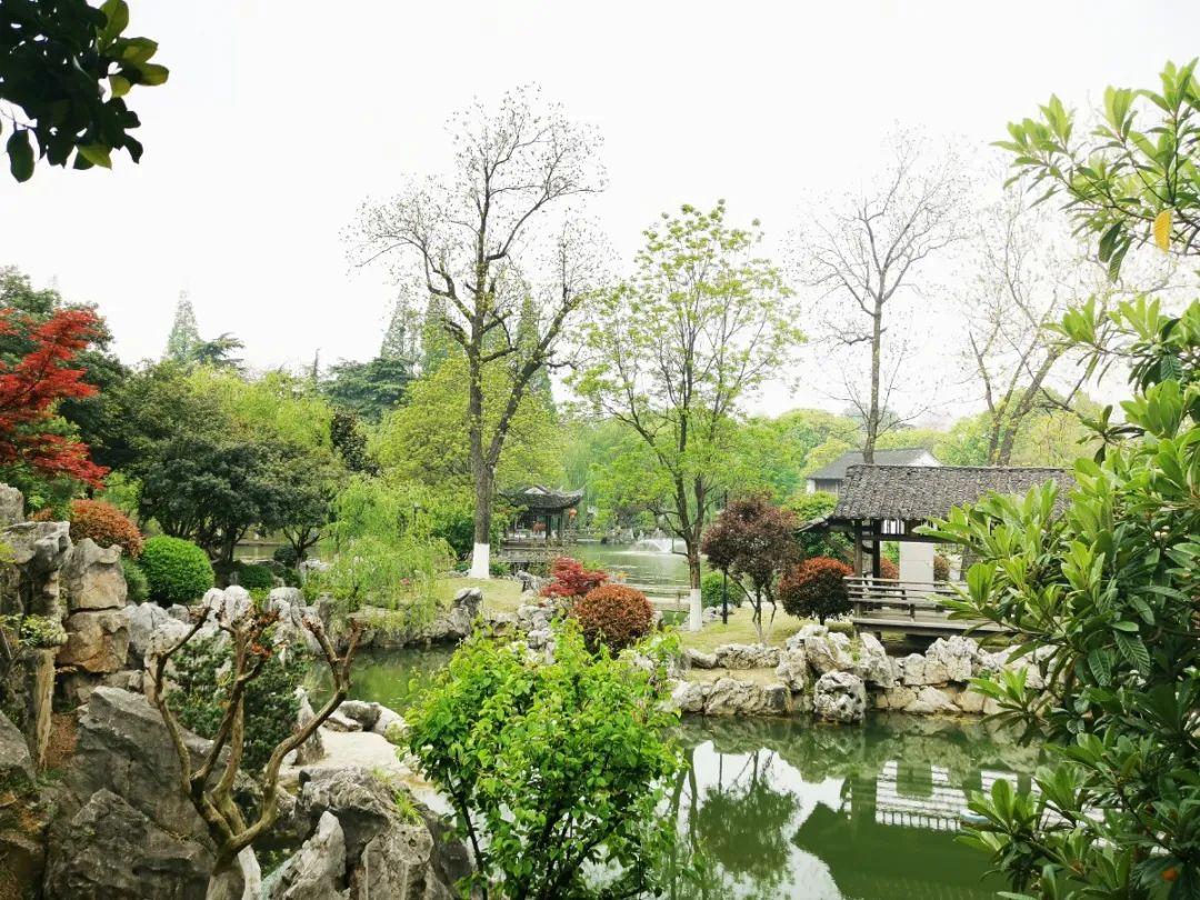 探索自然美景的治愈之旅，最新国产大片一览
