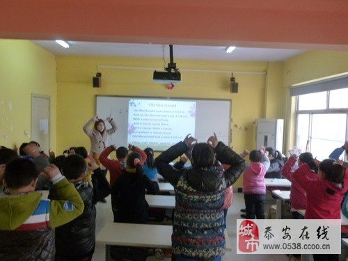 泰安最新招聘信息