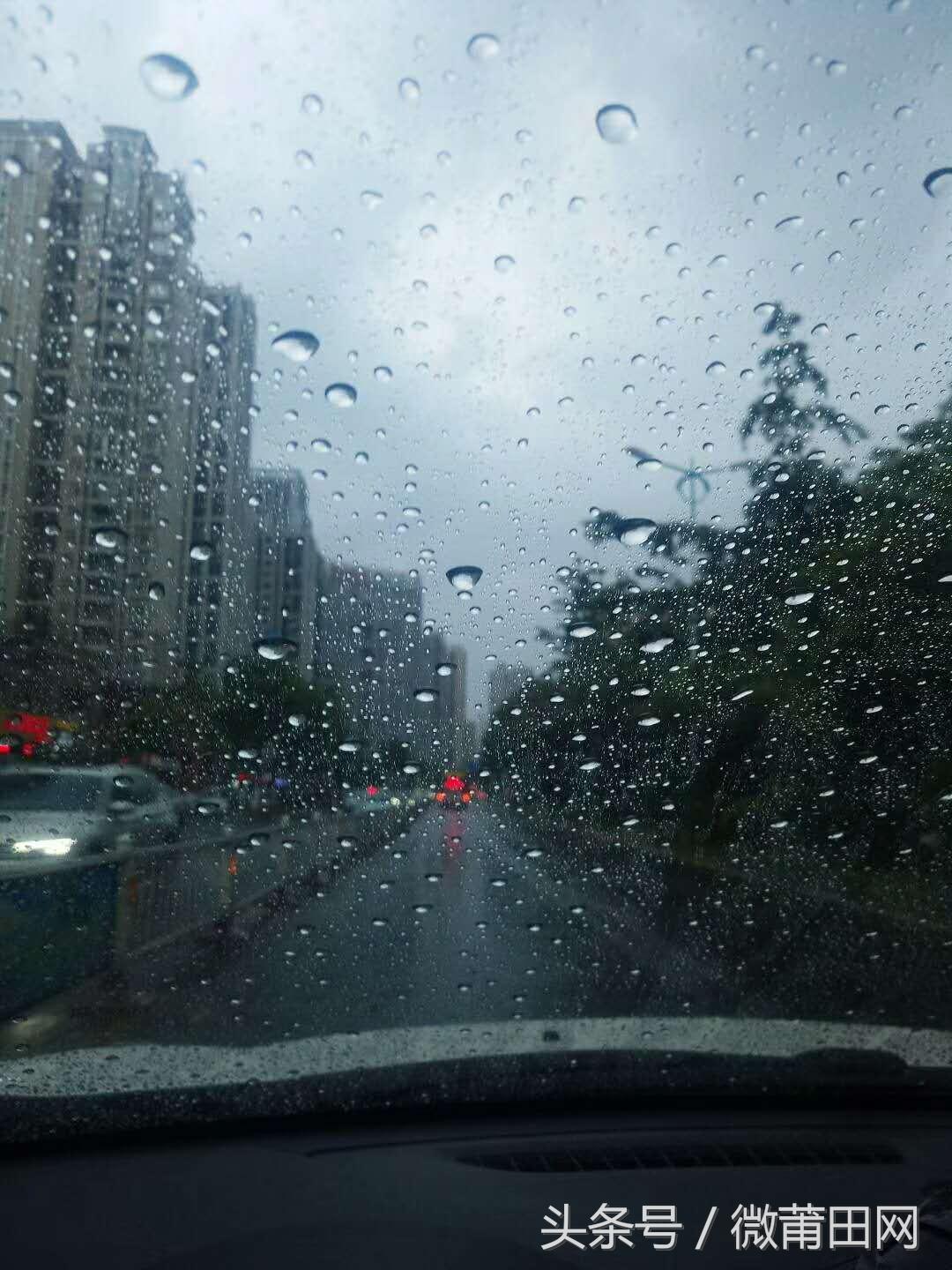 莆田台风最新消息，风雨中的励志故事，展现变化中的自信与成就感